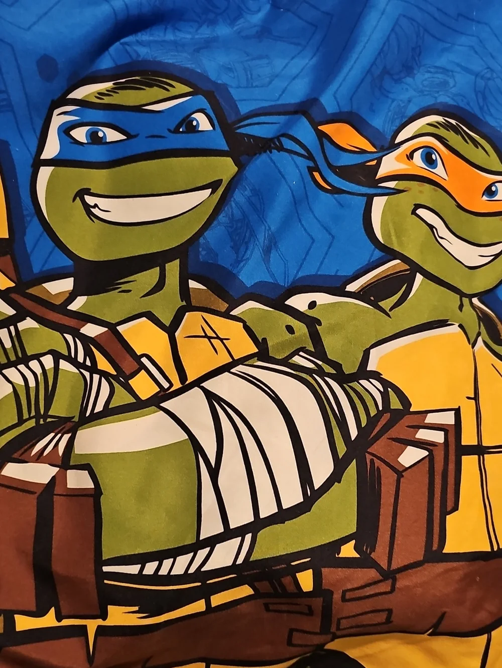 Twin Teenage Mutant Ninja Turtles Graphic Beddingl -